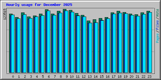Hourly usage for December 2025