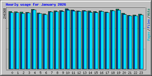 Hourly usage for January 2026