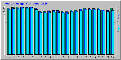 Hourly usage for June 2026